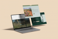 Rebrand, Messaging & Marketing Collateral for a Pilates Studio